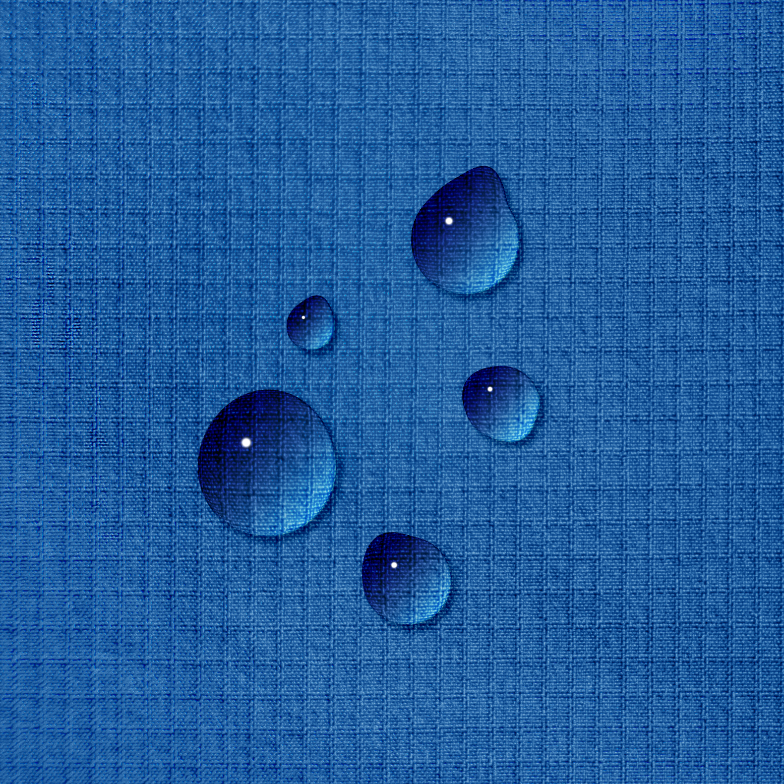 Taslon image 2