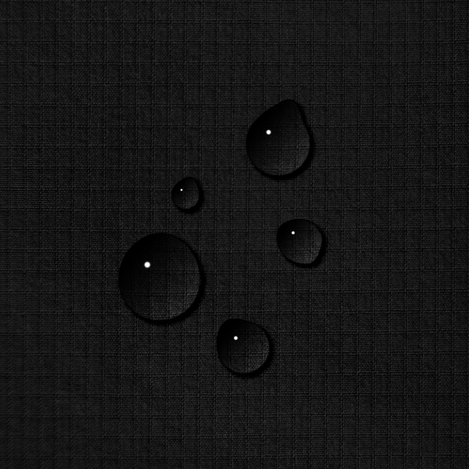 Taslon image 3