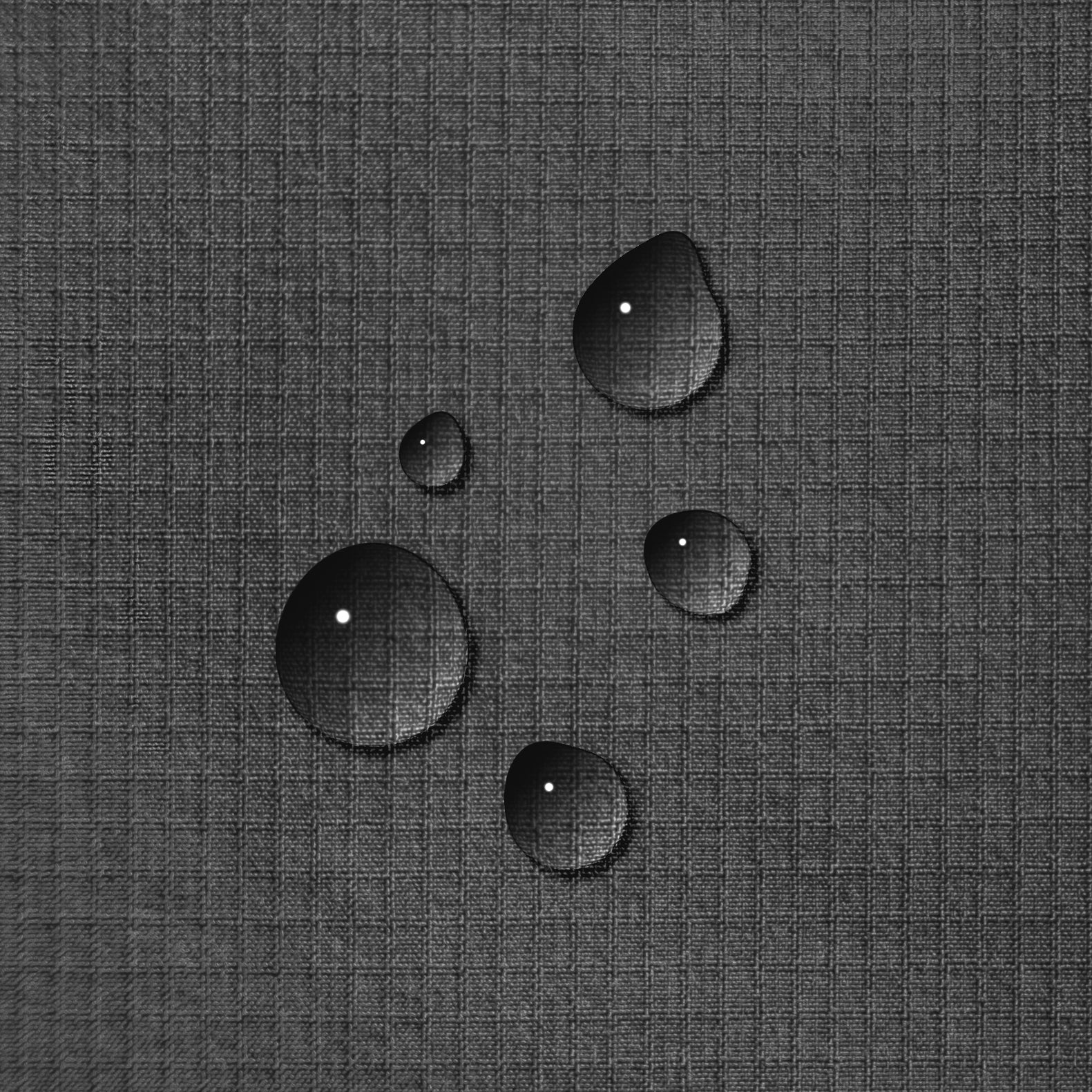 Taslon image 1