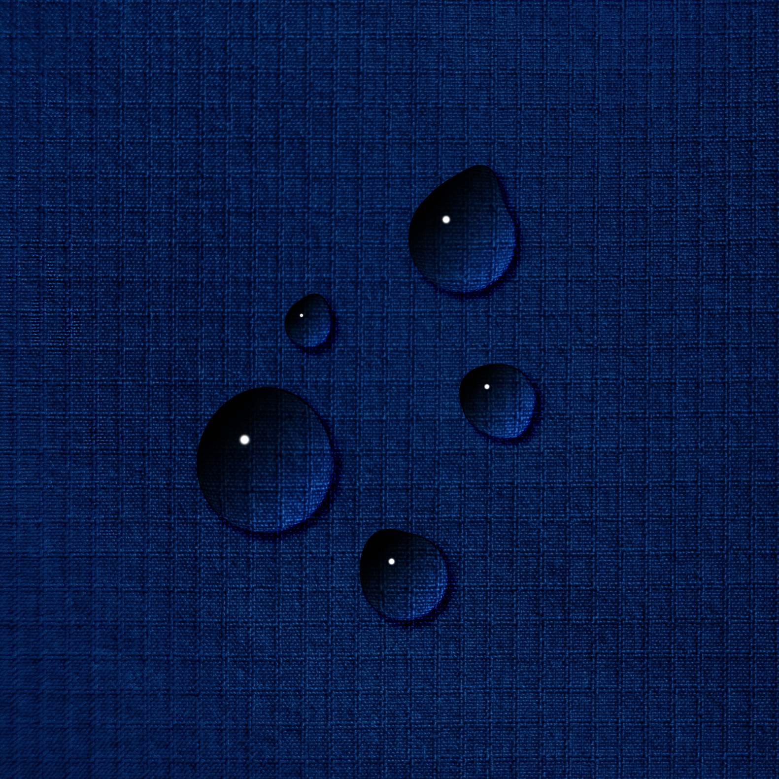 Taslon image 4